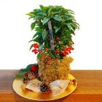 Ardisia, con adornos navideños